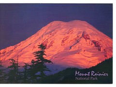 Mount Ranier National Park